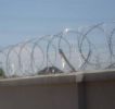 Barbed Razor Wire